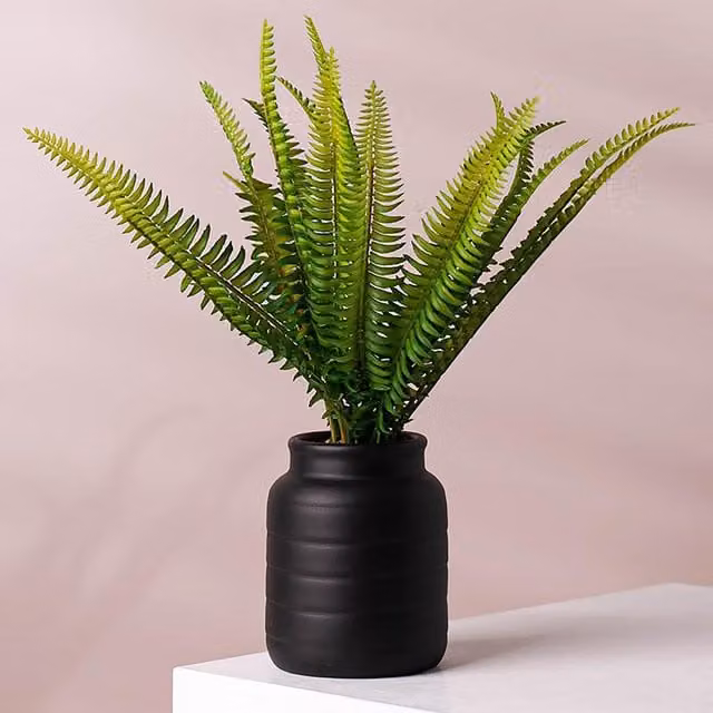 Leaf Ceramic Black Indoor Cachepot Planter W/D/H: 13 x 13 x 14 cm – 1