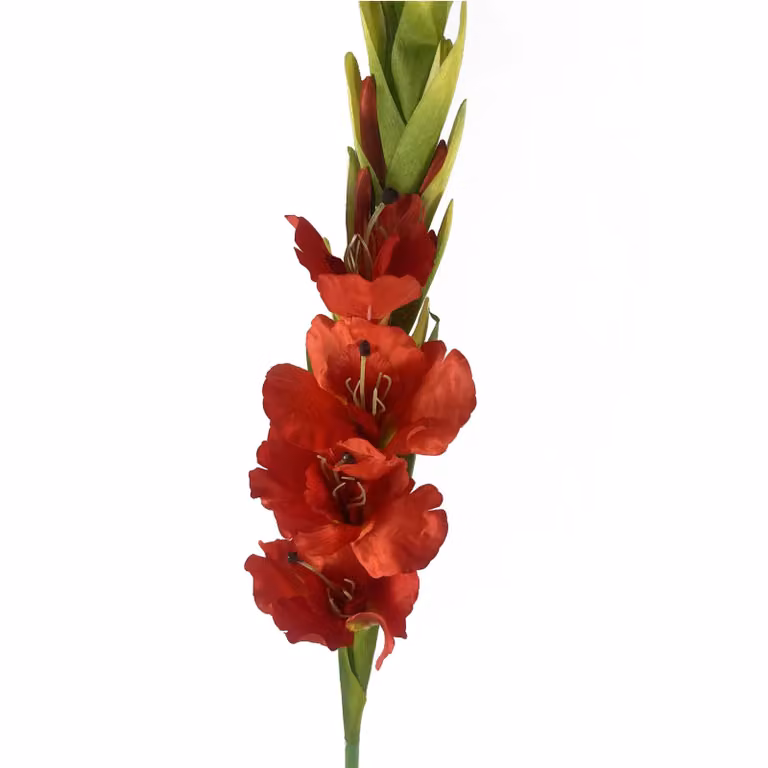 Leaf UK Orange and Red Artificial Gladioli Stems, Height: 115 cm
