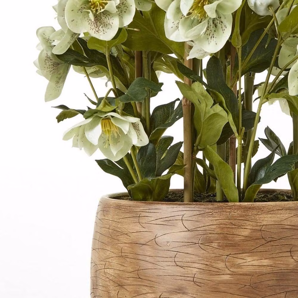 Lemon Pavilion Furniture and Decor Large Potted Hellebore in Green and Taupe, W52 x D52 x H85 cm – 4