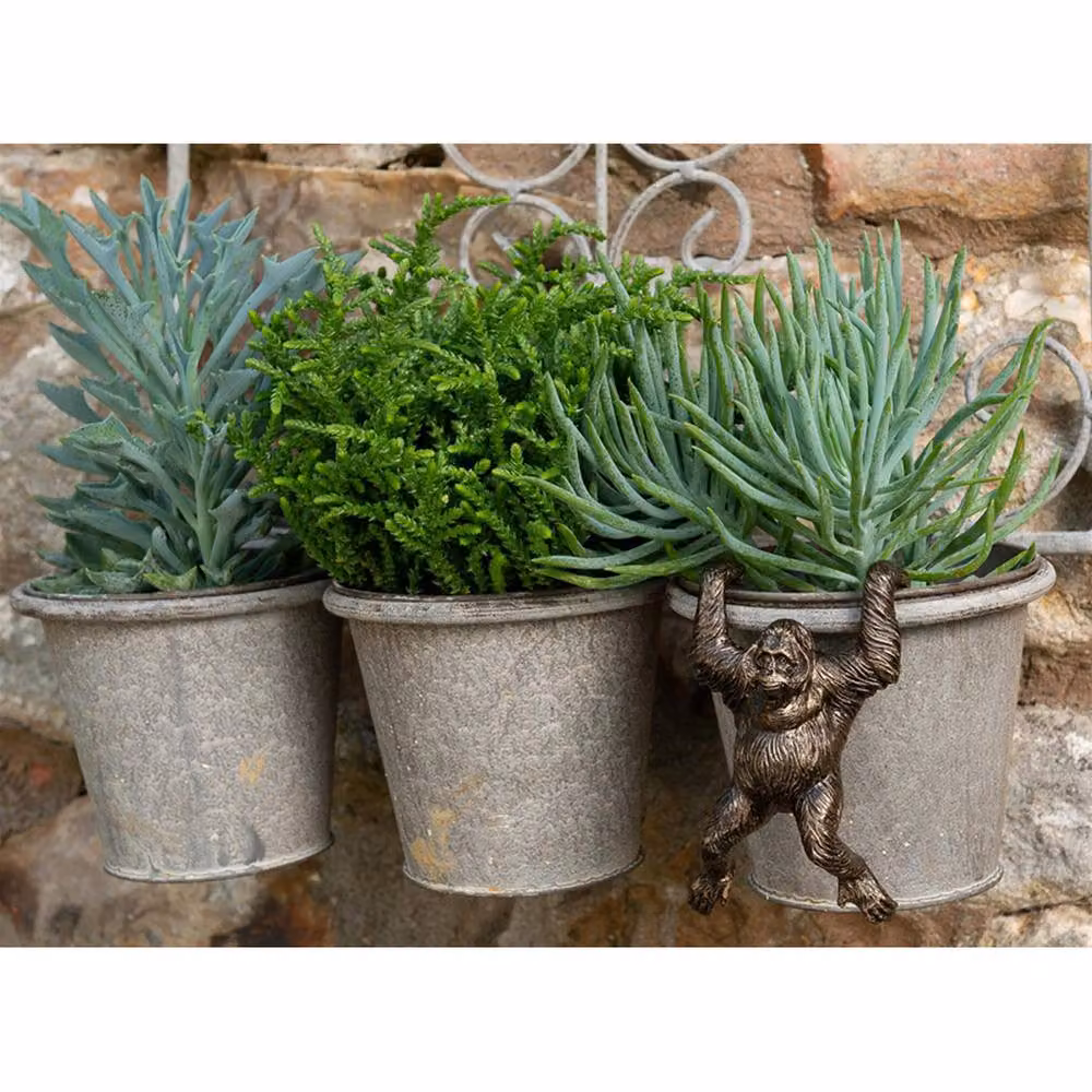Jardinopia Orangutan Hanging Plant Pot Hanger, Bronze, L11.5 x W7 x H5.5 cm – 6