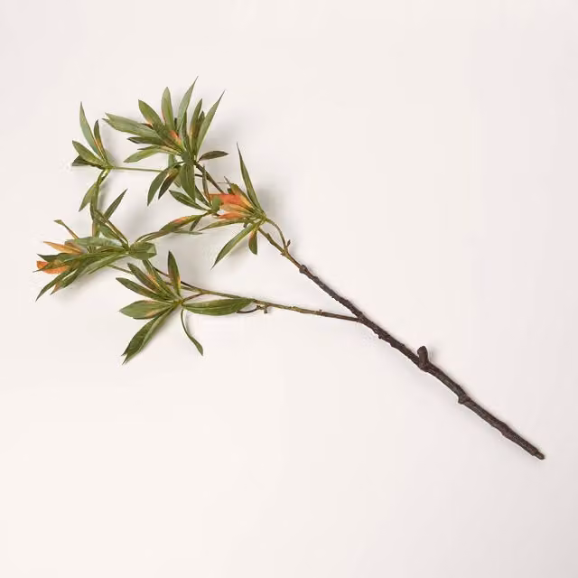 Homescapes Green Elaeocarpus Leaf Single Stem Spray, Green