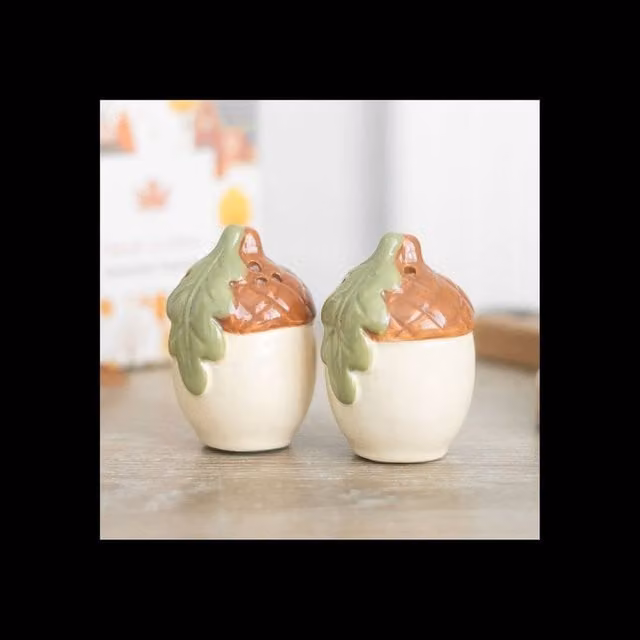 KDMD Multicolour Ceramic Acorn Salt and Pepper Shaker Woodland Set – 1