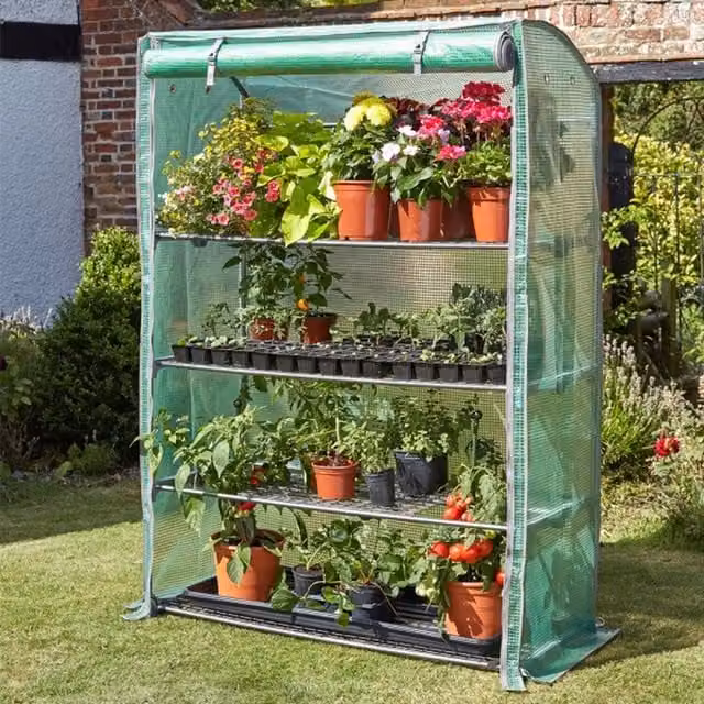 Garden Mile 4 Tier Curved Green Garden Greenhouse for Vegetable Growing