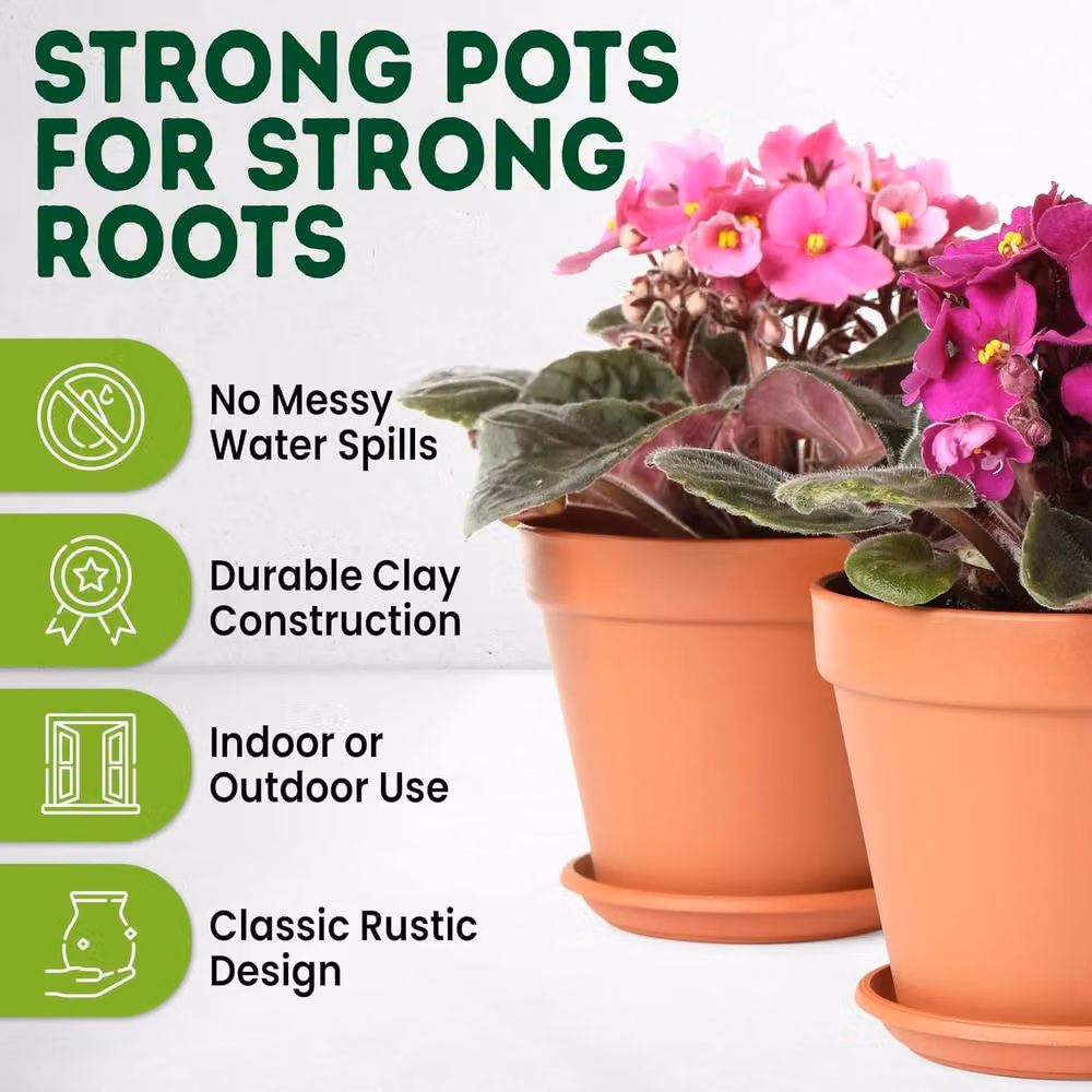 Green Thumbz Pack of 2 Brown Terracotta Clay Plant Pots with Saucer, Diameter: 20 cm – 3