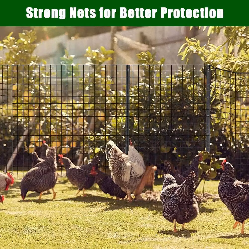 SPETLEK Galvanised Welded Wire Mesh Black Fence for Aviaries and Rabbits W: 100 cm, H: 60 cm – 5