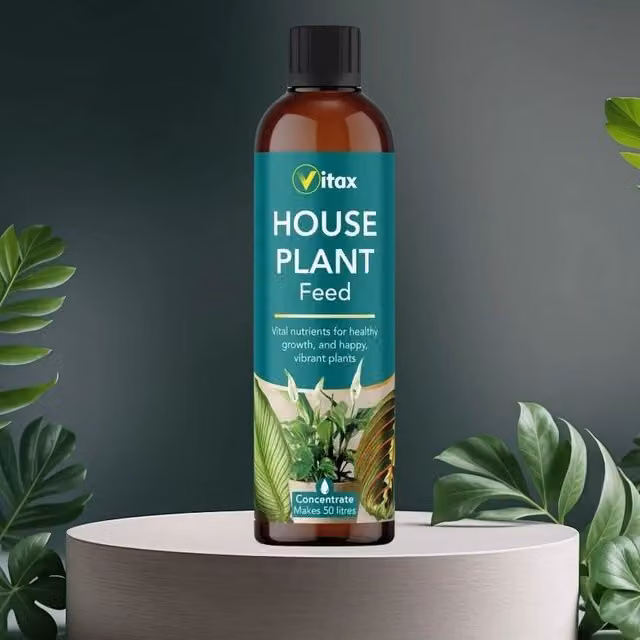 Vitax Liquid House Plant Feed Concentrate for Ferns and Palms, 250ml (Makes 50L)
