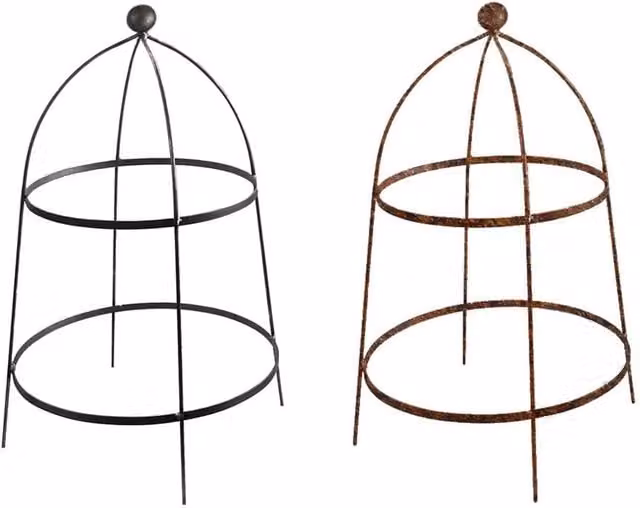 Garden Pride Metal Plant Support Cloche in Green or Black