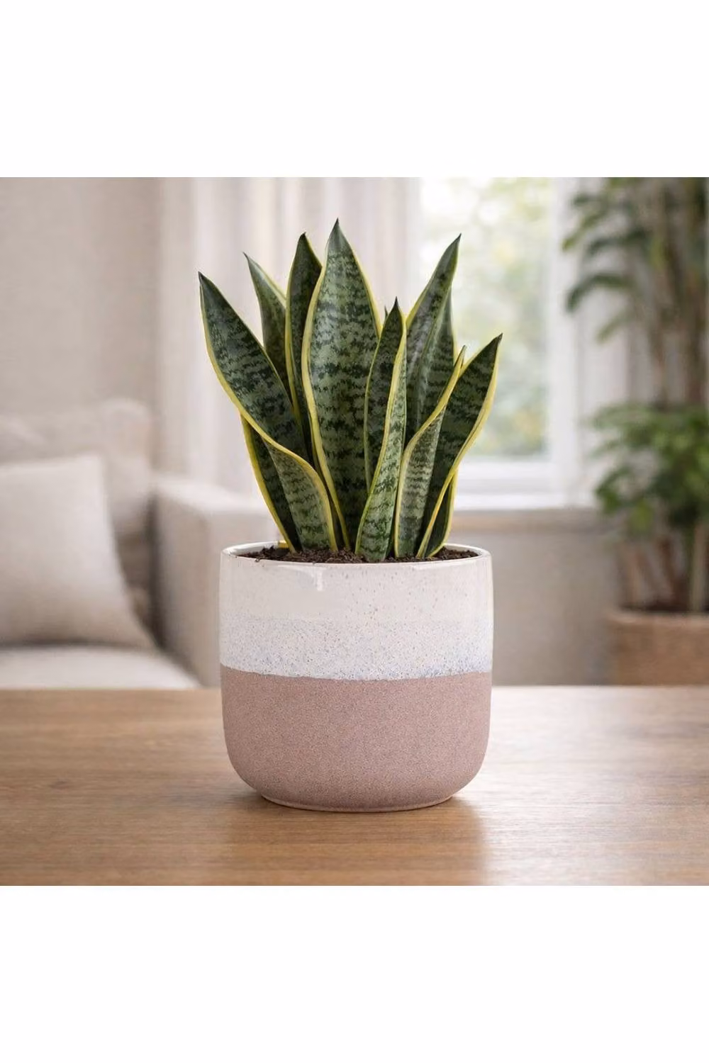 KDMD Hortus Pink and White Bordeaux Stoneware Pot, H 16 cm x Dia 17 cm – 2
