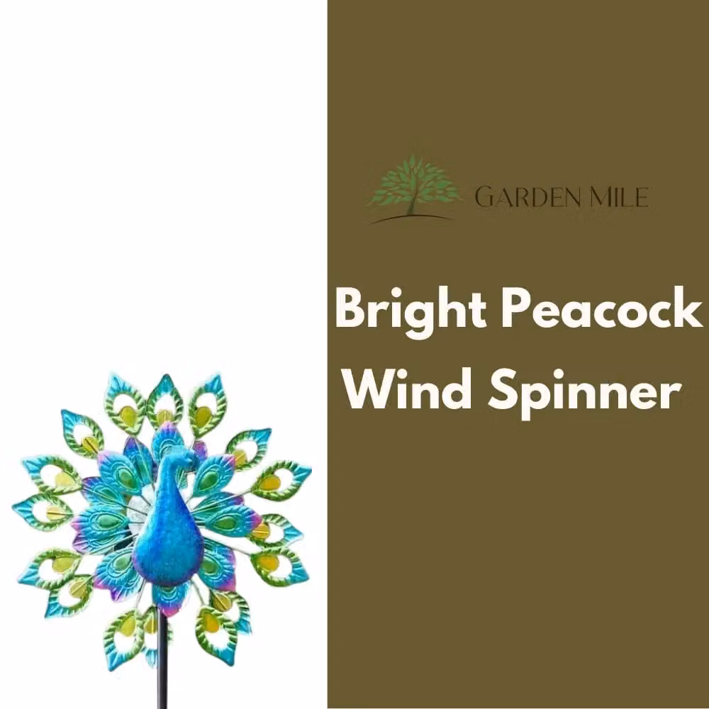 Marco Paul Blue Peacock Solar Wind Spinner, 130cm – 5