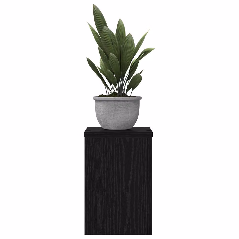 Berkfield Home Set of 2 Black Oak Plant Stands, W/D/H: 20 x 20 x 30 cm – 3