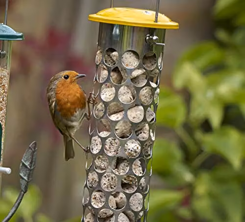 Peckish Yellow Stainless Steel Suet Nugget Metal Bird Feeder – 4