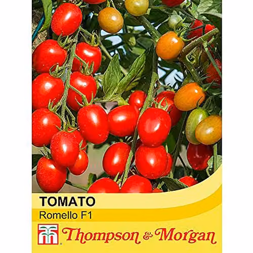 Thompson & Morgan Romello Dwarf Plum Tomato Seeds, High Yielding Red Variety – 2