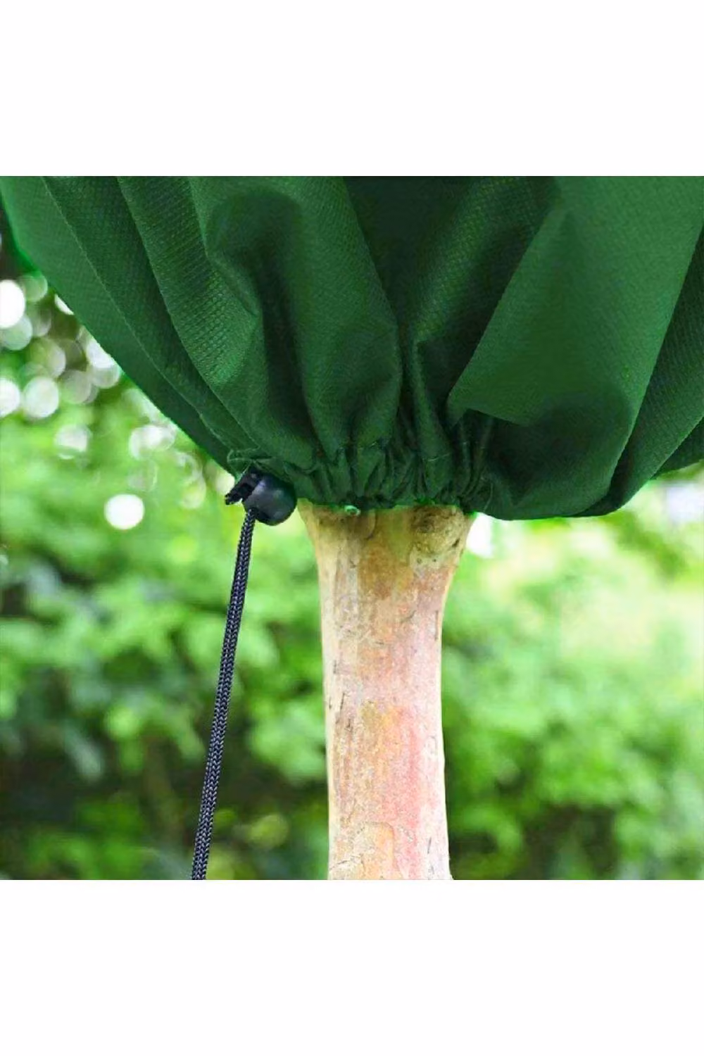 KDMD Heavy Duty Frost Protection Fleece Plant Cover, Green, W: 120 cm, H: 180 cm – 5