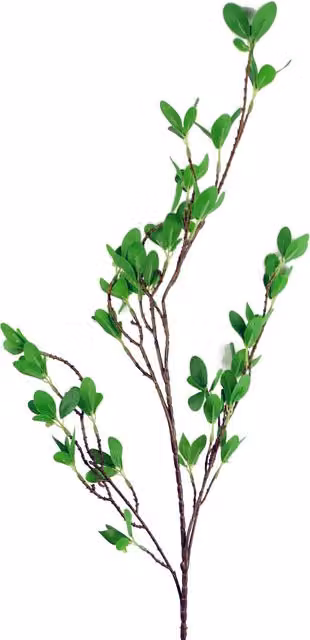 Green Mini Ficus Leaf Stem Plastic Tree