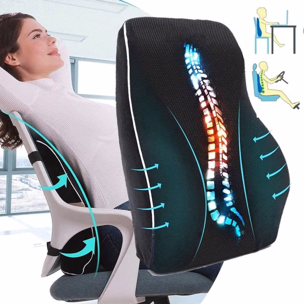 FLAVORA Memory Foam Lumbar Support Pillow in Black with Cotton Cover – 2