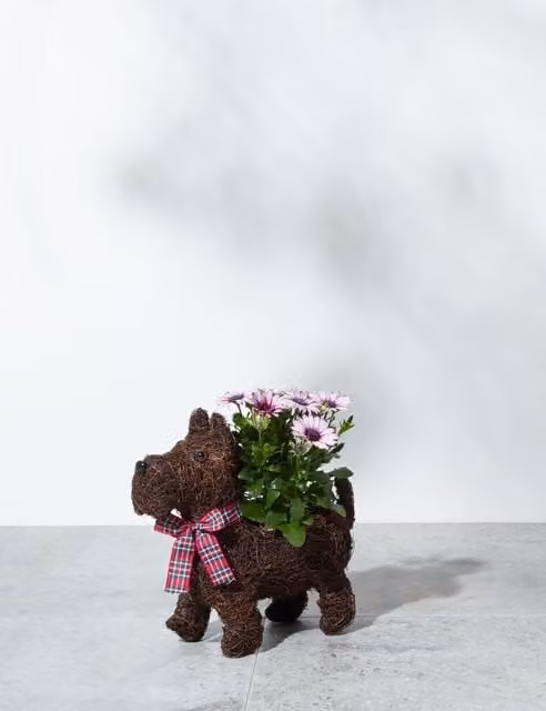 M&S Floral Brown Organic Scottie Dog Tabletop Ornament