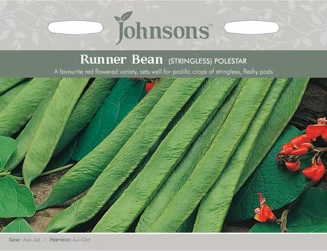 Johnsons Polestar Stringless Runner Bean Seeds, Red and Green Variety