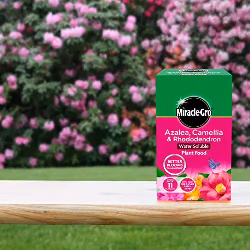 Miracle-Gro Azalea, Camellia and Rhododendron Soluble Plant Food, 1 kg – 3