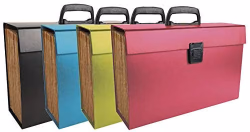 Exacompta Multipart Expanding Document Case with Handle, A4 Size, 20 Tabbed Sections, Holds 1000 Sheets, Multicolour, W: 38.5 cm x D: 25 cm