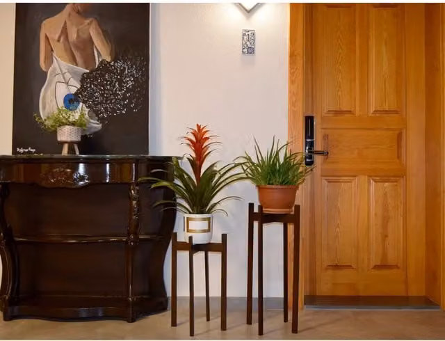 Decorotika Floret Modern Lacquered Wood Plant Stand in Black or Brown, H 65 cm x W 30 cm x D 24 cm