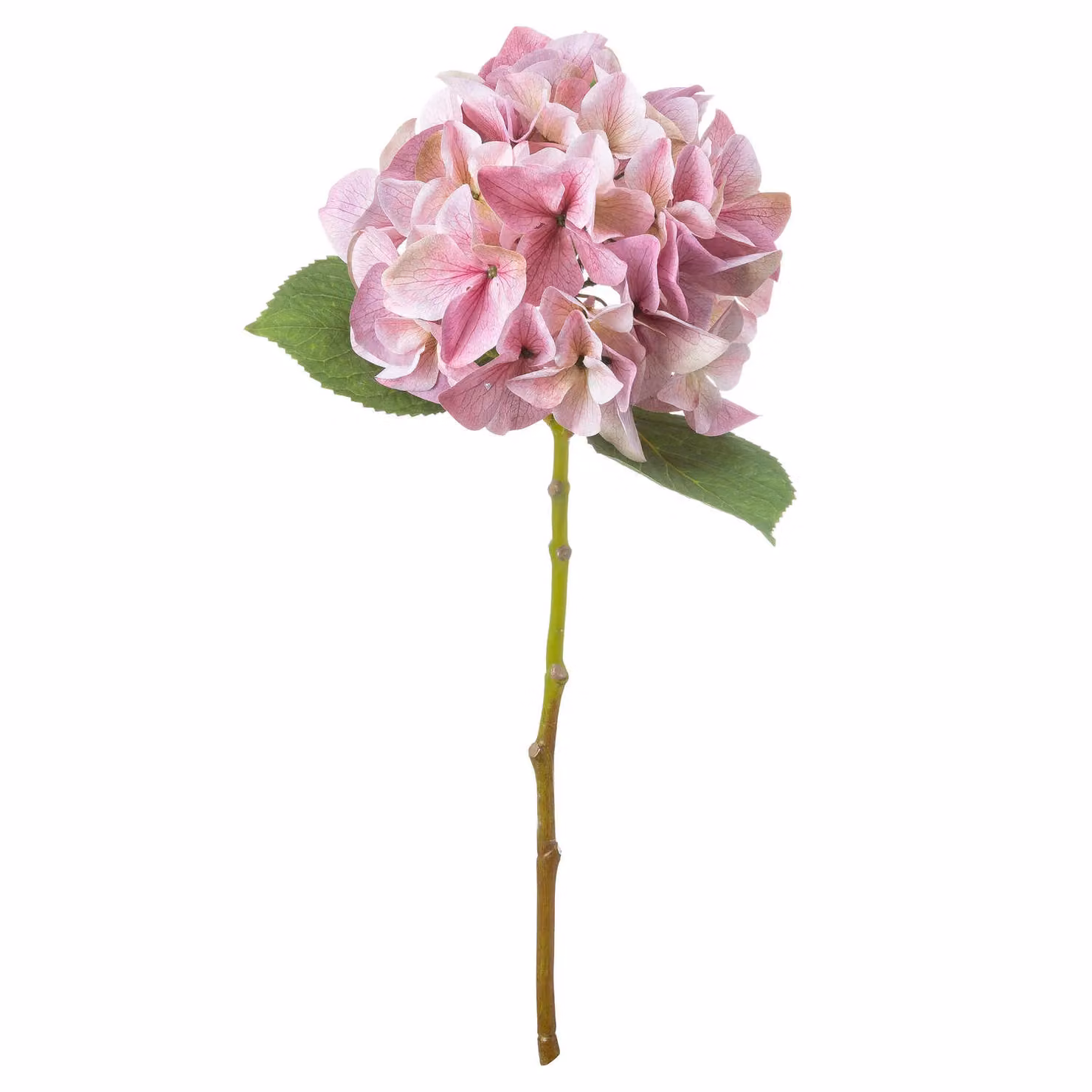 Hill Interiors Shabby Chic Pink Artificial Hydrangea Flower – 2
