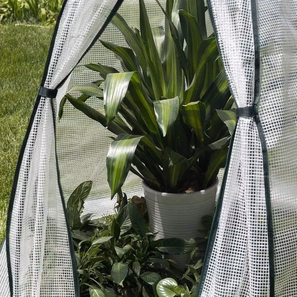 NESTLUNE White Translucent Weatherproof Steel Outdoor Greenhouse Dome Growing Aid W: 100 cm, D: 15 cm – 1