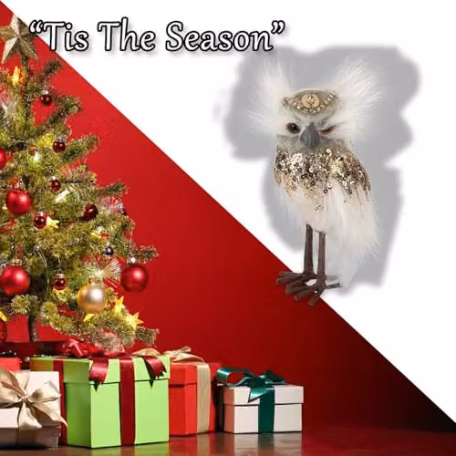 VFM e-Store Christmas Velvet Owl Tabletop Decoration, Green and Multicolour, H: 15 cm, W: 9 cm – 4