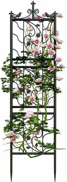 Hinsinc 2-Piece Black Metal Obelisk Garden Trellis Support Frames