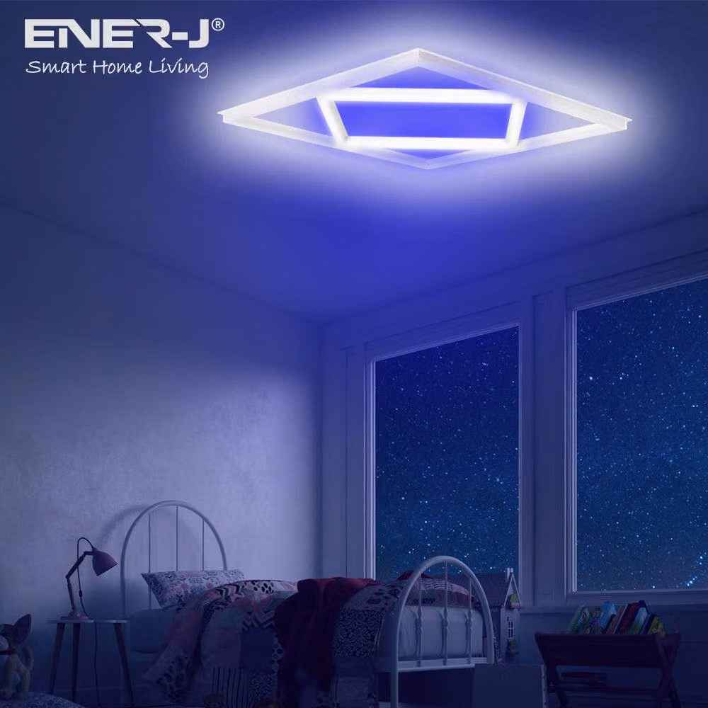 ENERJ Double Square Borderline Recessed LED Panel Light, W/D/H: 59.5 x 59.5 x 5.95 cm, 40W, 4000 lm, 6000K, White and Blue – 8