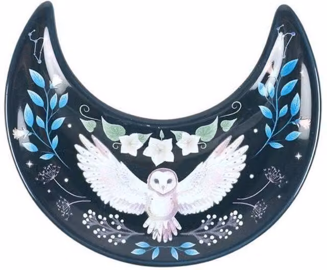 Something Different Crescent Moon Owl Trinket Dish in Blue and White – 2