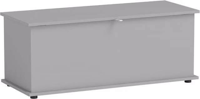Kelvenix Modern Rectangular Wood Storage Box with Flip-Top Lid in Grey, W/D/H: 120 x 40 x 100 cm