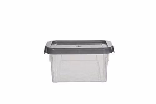 Whitefurze Spacemaster Extra Storage Box with Lid, Silver and Transparent, 0.4 l