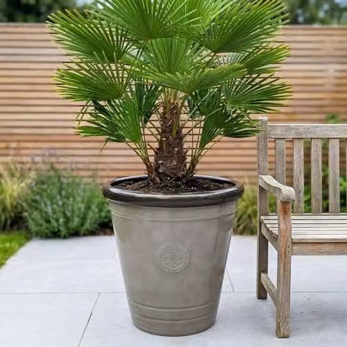 Jack Stonehouse JSH 75L Greco Roman Logo Outdoor Garden Planter, Grey with Gold Brass Rim, Sandstone Effect Recycled Plastic, Diameter: 53 cm – 2