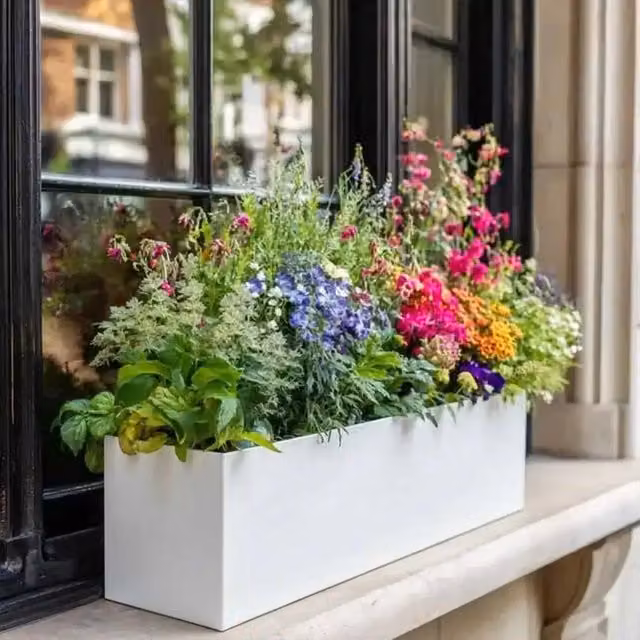 Matte White Galvanised Steel Trough Planter Tub, 70 cm