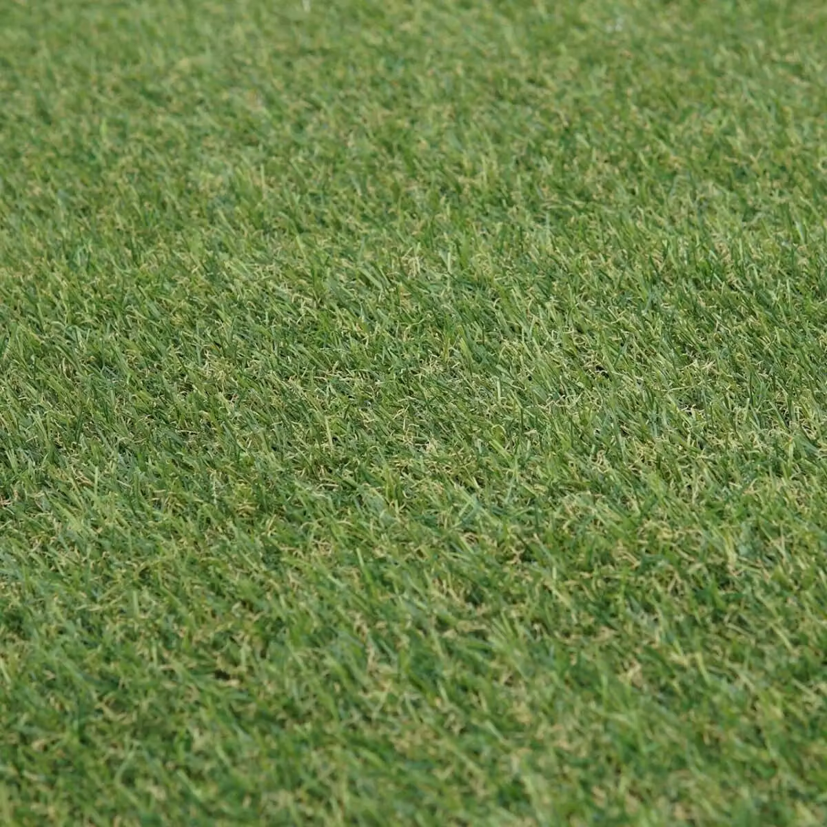 Artificial Grass GB Durban 25mm Artificial Grass in Green, W: 200 cm, L: 900 cm – 3