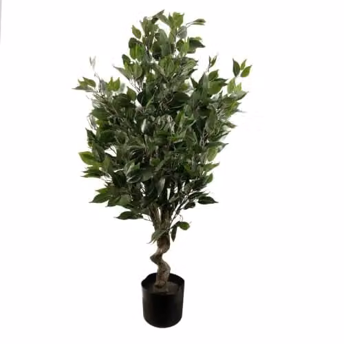 Leaf Artificial Evergreen Ficus Tree in Green and Black, H 110 cm x W 55 cm x D 25 cm