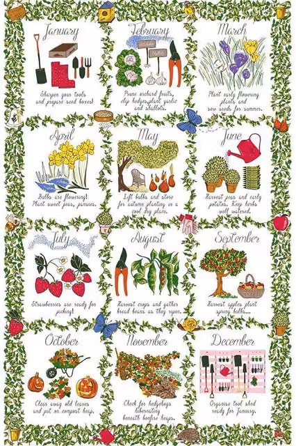 Ulster Weavers Gardeners Calendar Floral Cotton Tea Towel in Green and Multicolour