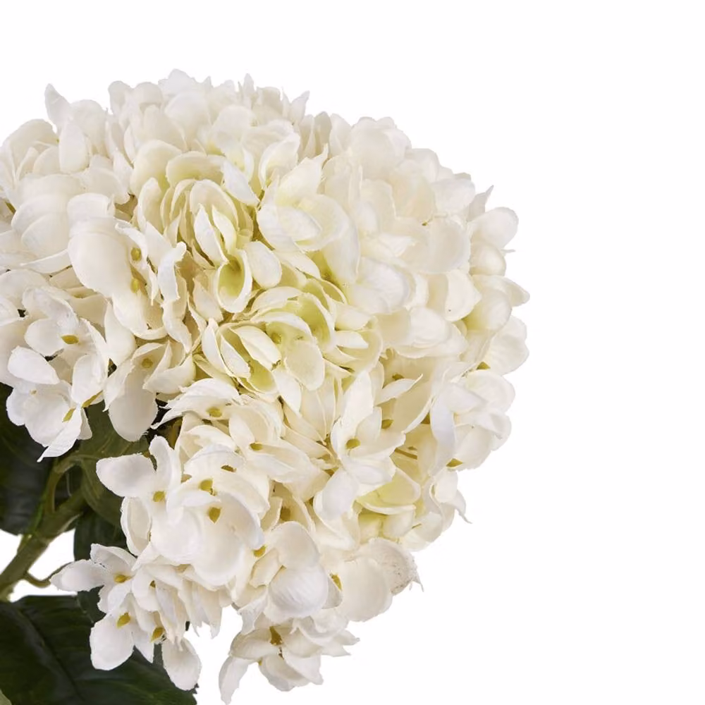 Lemon Pavilion Furniture and Decor White Plastic Hydrangea Stem, W16 x D16 x H58 cm – 2