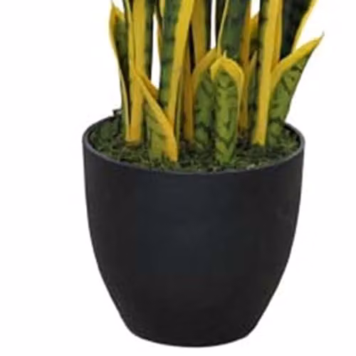 Leaf UK Artificial Sansevieria Tropical Snake Plant in Green and Gold, Height: 70 cm – 3