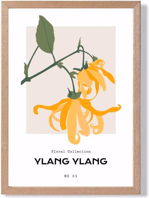 ARTZE Yellow Ylang Ylang Botanical Spring Floral Framed Print with Oak Frame, A2