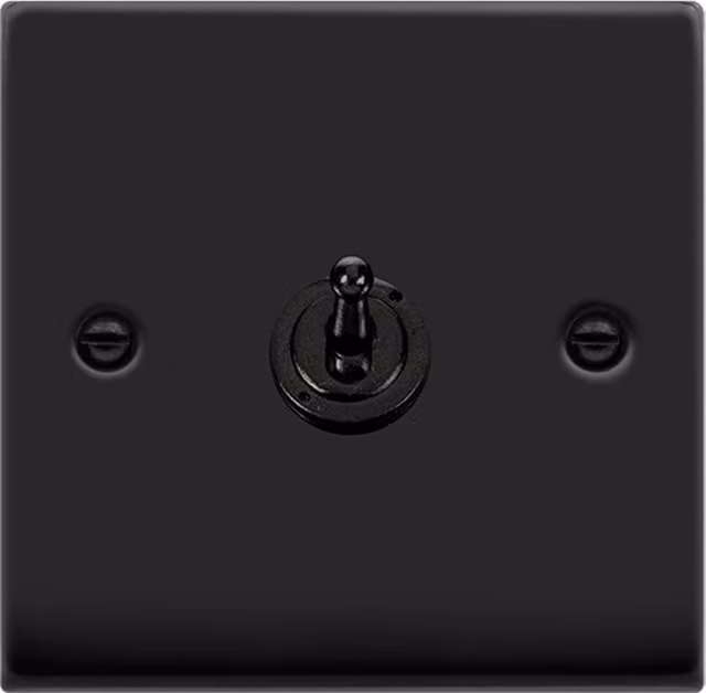 SE HOME Black Two Way Flush Plate Light Switch