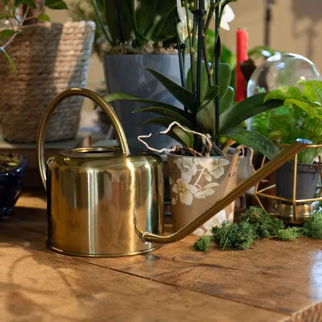 Marshalls Classic Copper-Plated Metal Watering Can with Long Spout in Bronze