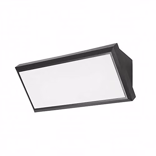 Netlighting Samper LED Outdoor Wall Light Black IP65