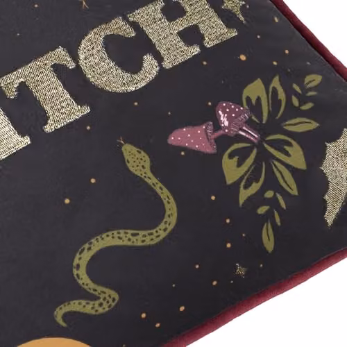 Riva Home Bad Witch Black Velvet Rectangular Polyester Filled Cushion W: 50 cm, H: 30 cm, D: 30 cm – 3