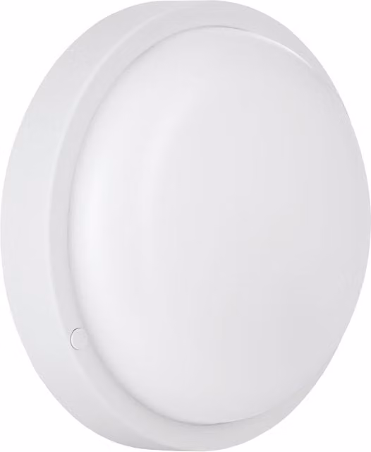 Eglo Basic Boschetto-E Round White Plastic Outdoor Wall and Ceiling Light