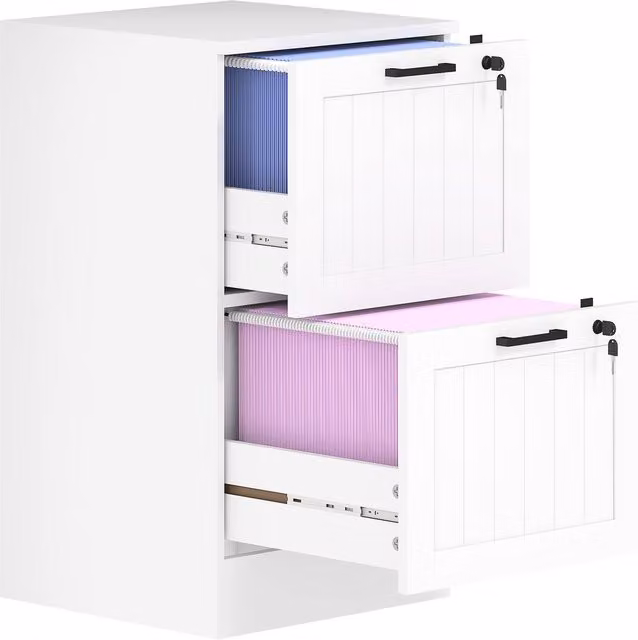 Rolipo Lockable 2-Drawer Metal Filing Cabinet with A4 Letter Hanging Rails in White