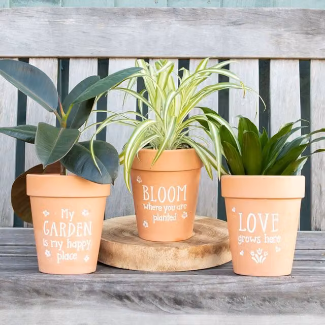 Kingsbury Gifts Bloom Where You Are Planted Floral Ceramic Terracotta Planter in Orange and White, W/D/H: 17 x 17 x 17 cm