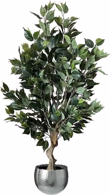 Leaf 100cm Artificial Ficus Tree with Silver Curve Planter in Green