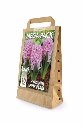 GreenBrokers Pink Pearl Hyacinth Spring Flower Bulbs (10 Pack) – 1