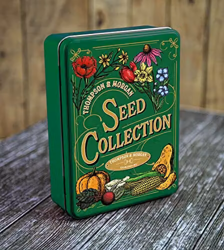Thompson and Morgan Vintage Green Metal Seeds Storage Tin